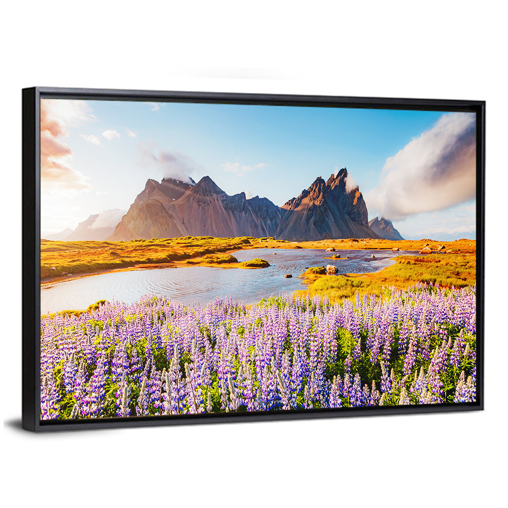 Lupine Fields at Vestrahorn Wall Art