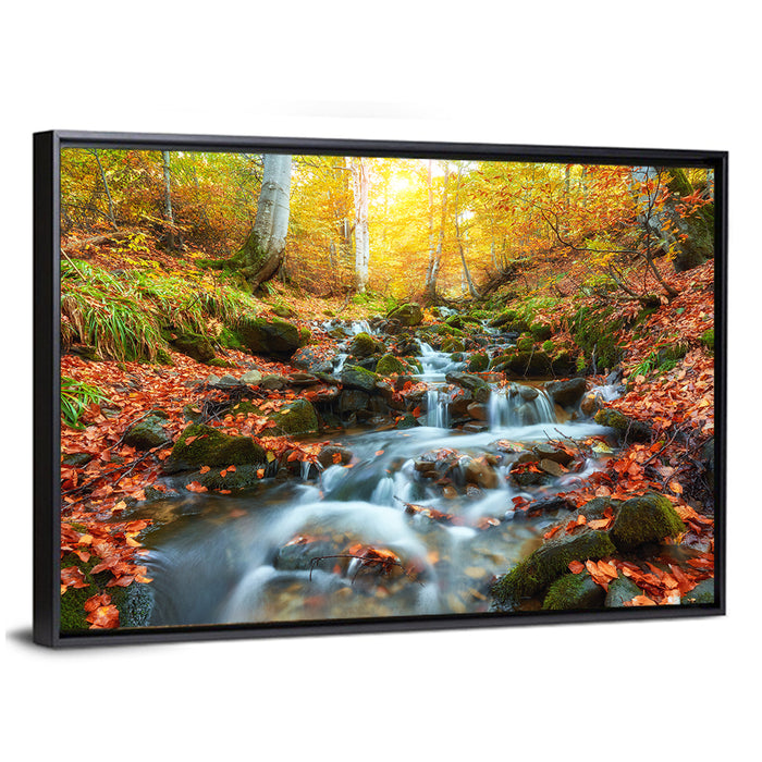 Backlit Autumn Forest Stream Wall Art as a framed canvas