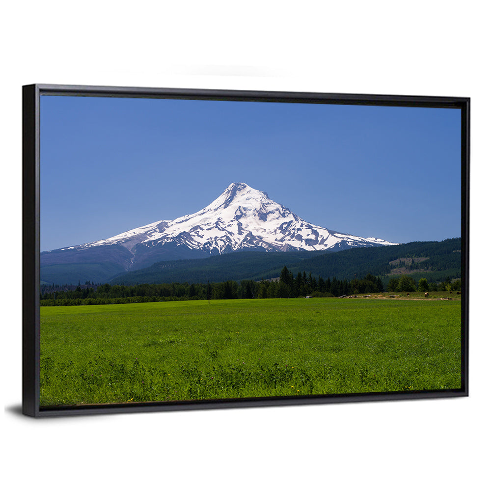 Mount Hood Meadow View Wall Art