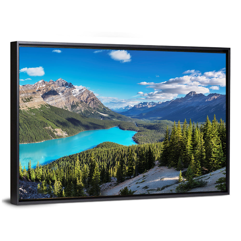 Peyto Lake, Banff National Park Wall Art