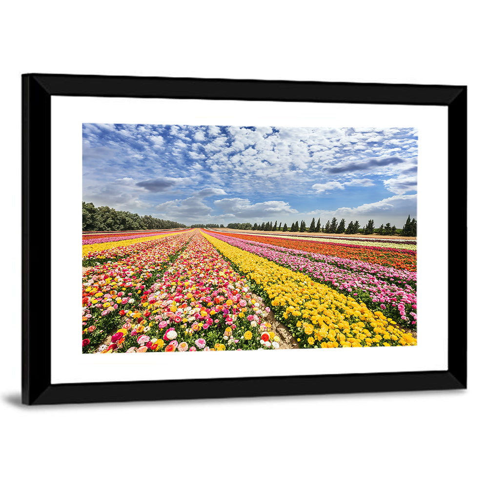 Spring Buttercup Field Wall Art