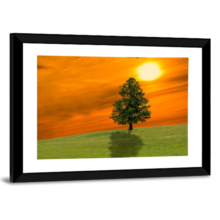 Lonely Tree on Green Hill at Sunset Wall Art as a framed print