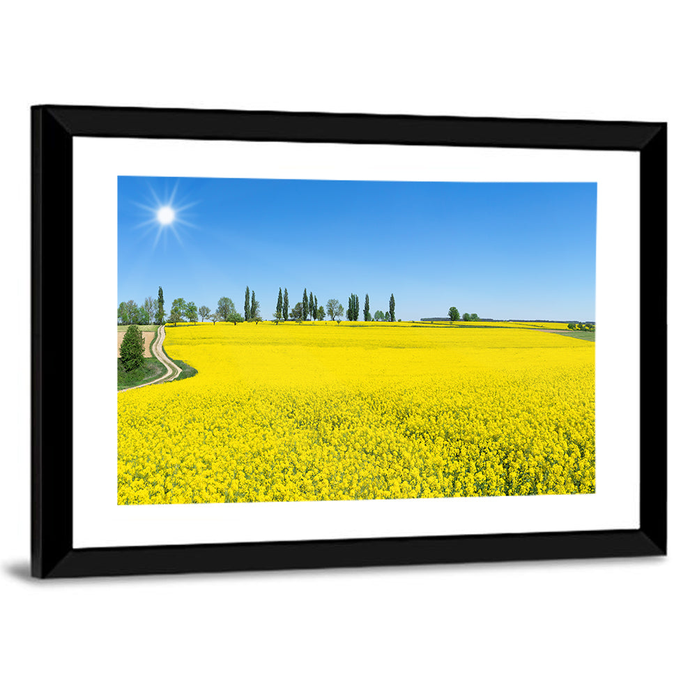 Winding Path Through Rapeseed Field Wall Art