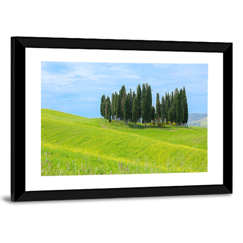 Tuscany Cypress Trees Wall Art