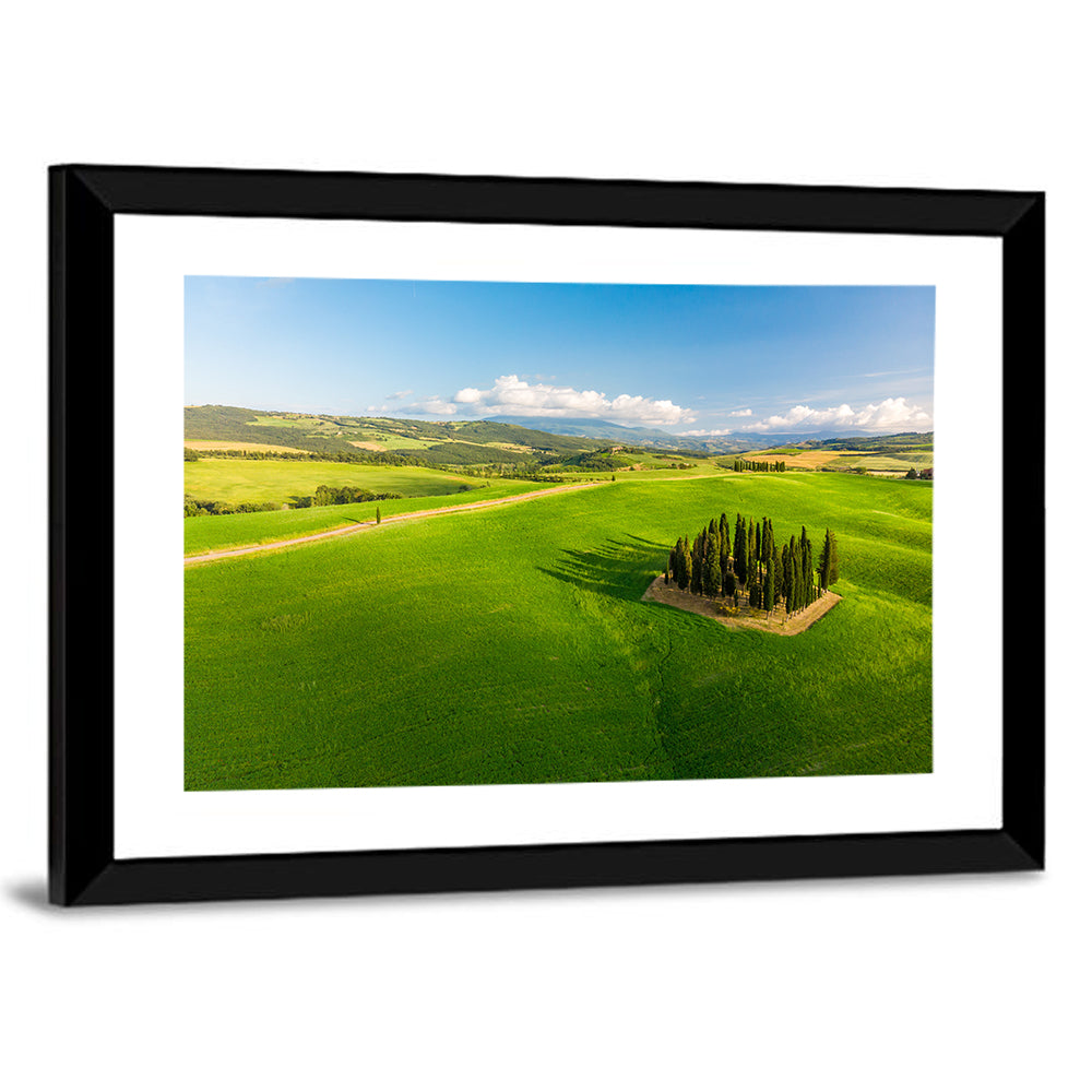 Italian Cypresses on Rolling Hills Wall Art