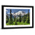 Mt Rainier & Conical Pine Trees Wall Art