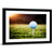 Golf Ball CloseUp Wall Art
