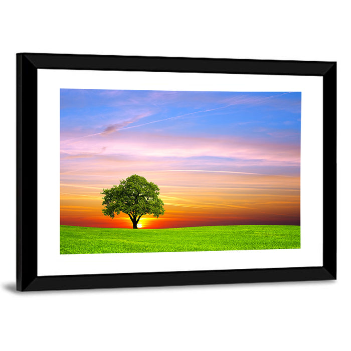 Lone Tree at Sunset Wall Art as a framed print