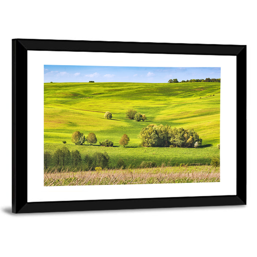 Rolling Hills of Ukraine Wall Art