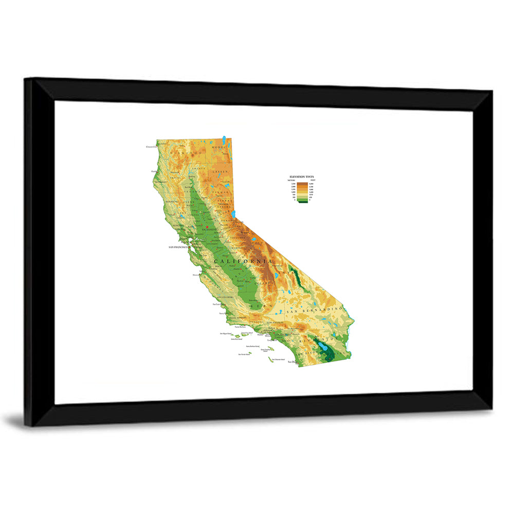California Physical Map Wall Art