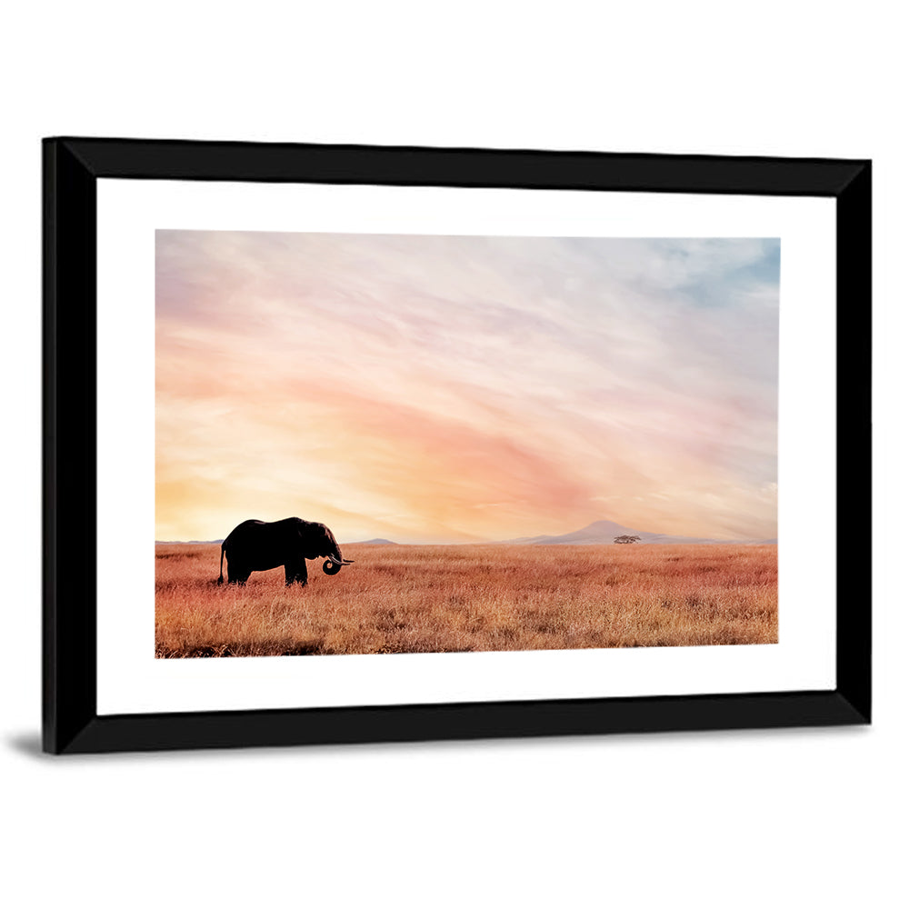 Savannah Elephant at Sunset Wall Art