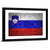 Flag Of Slovenia Wall Art