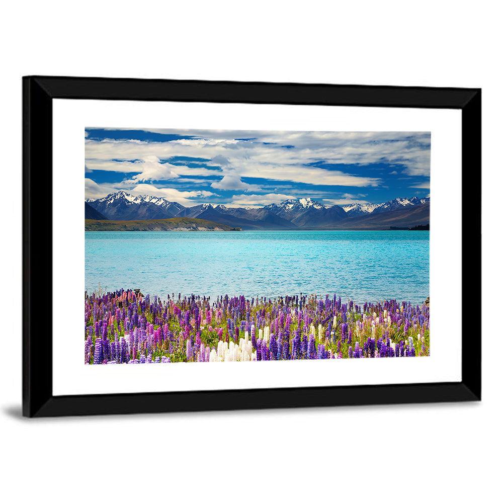 Lake Tekapo Lupines and Mountains Wall Art