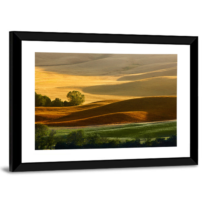 Golden Hills of Tuscany Wall Art as a framed print