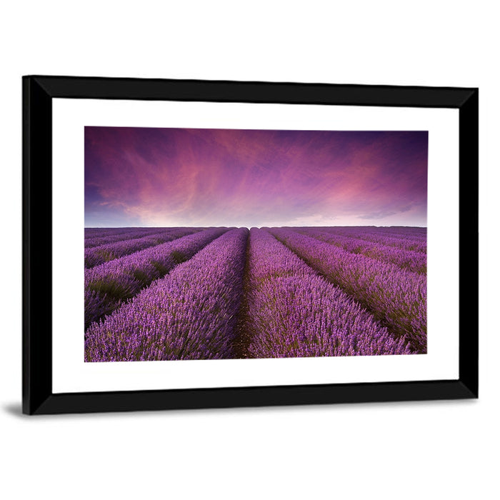 Lavender Field Sunset Wall Art as a framed print