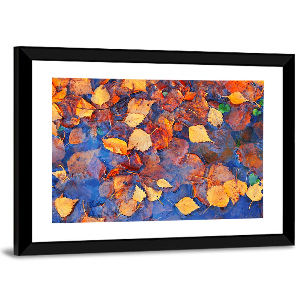 Fall Season Leaves In Rain Puddle Wall Art