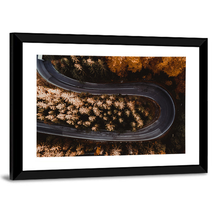 Hairpin Turn in Autumn Forest Wall Art as a framed print