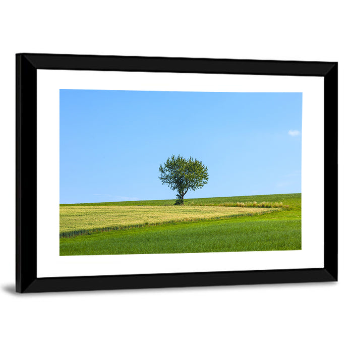 Solitary Tree on Rolling Meadow Wall Art as a framed print