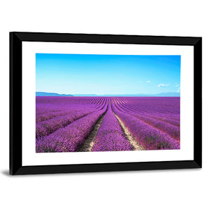 Lavender Flower Fields Wall Art