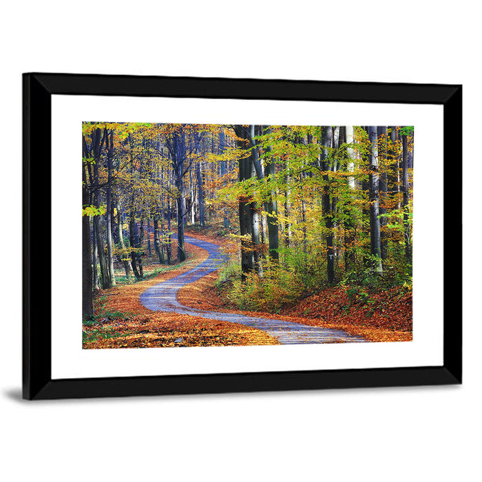 Winding Autumn Forest Path Wall Art as a framed print