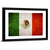 Mexican Flag Wall Art