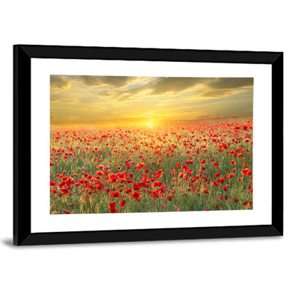 Poppy Field On Sunset Wall Art