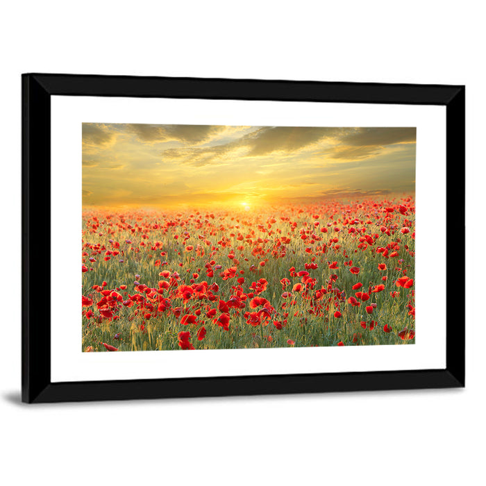 Poppy Field at Sunset Wall Art as a framed print