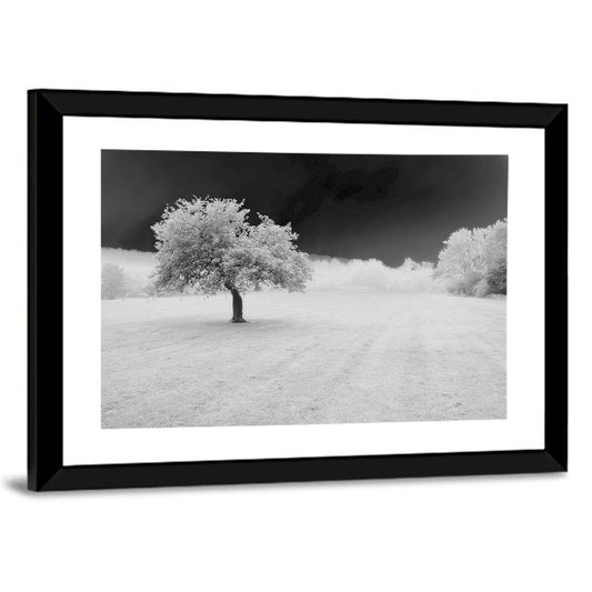 Lonely Tree In Surreal Winter Field Wall Art