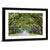 Savannah Oak Tree Pathway Wall Art