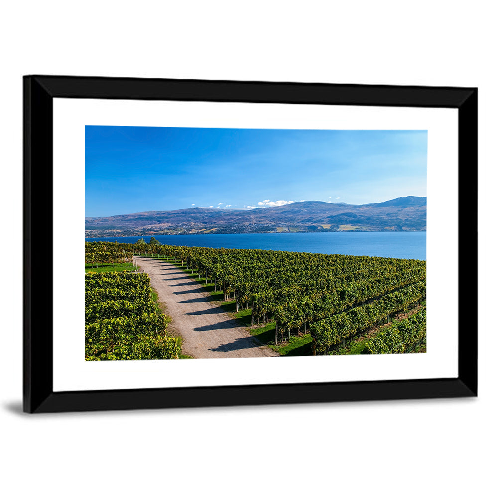 Lake Okanagan Vineyard Path Wall Art