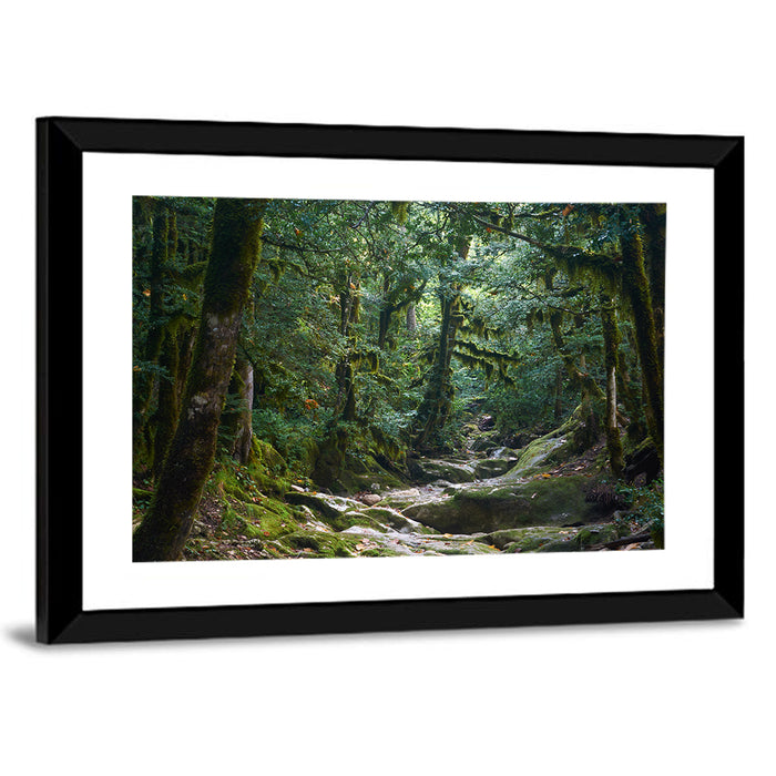 Mossy Halloween Forest Path Wall Art as a framed print