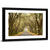 Spanish Moss Countryside Road Wall Art