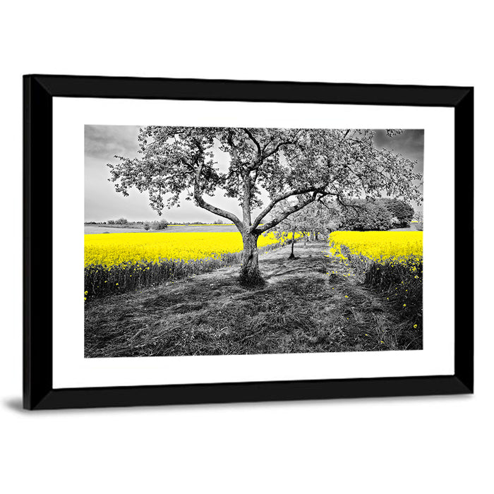 Yellow Oilseed Field with Lone Tree Wall Art as a framed print
