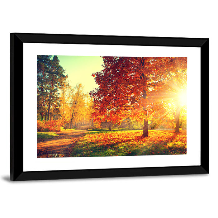 Sunlit Autumn Forest Path Wall Art as a framed print