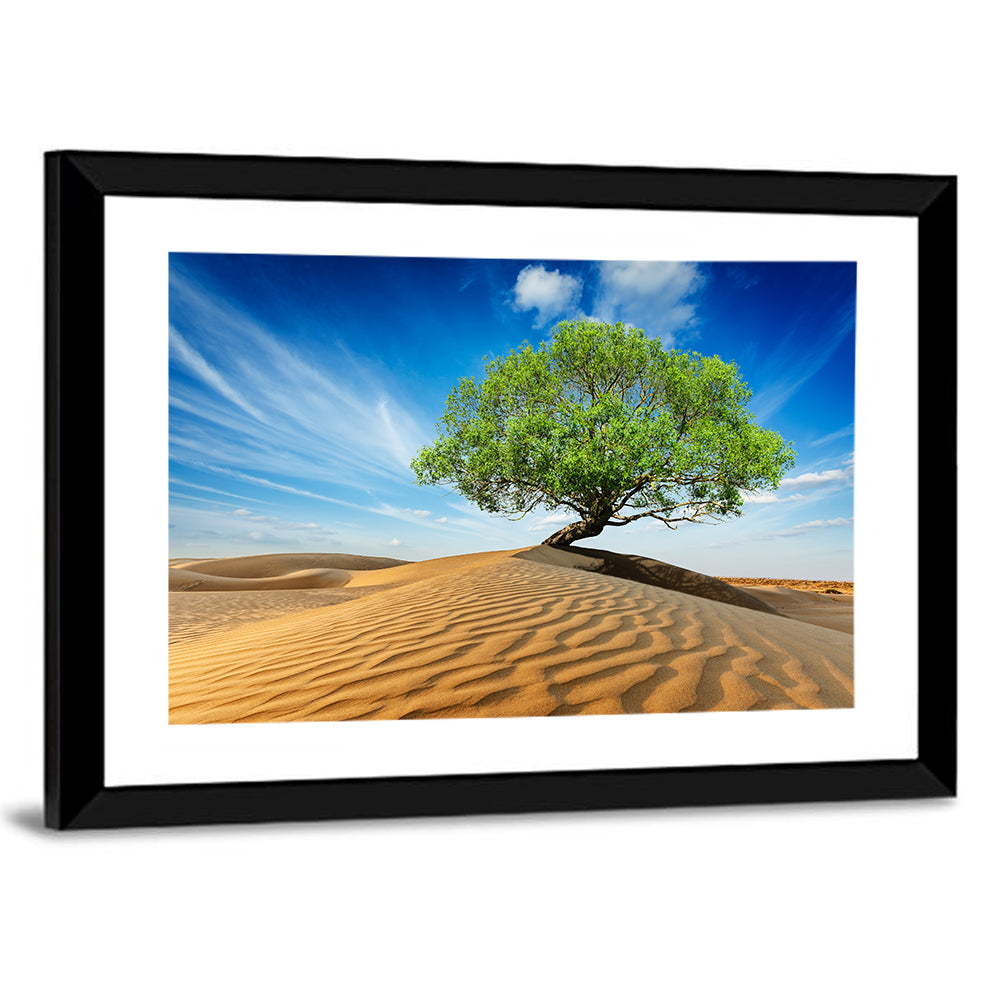 Solitary Green Tree on Sand Dune Wall Art