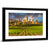 Vineyards Of San Gimignano Tuscany Wall Art