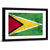 Flag Of Guyana Wall Art