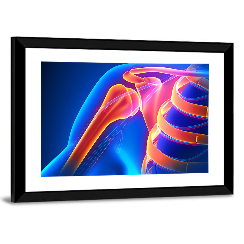Shoulder Pain Anatomy Study Wall Art