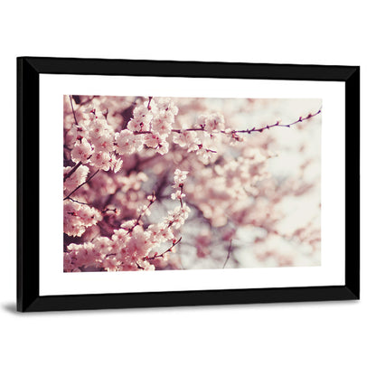 Spring Cherry Blossoms Wall Art
