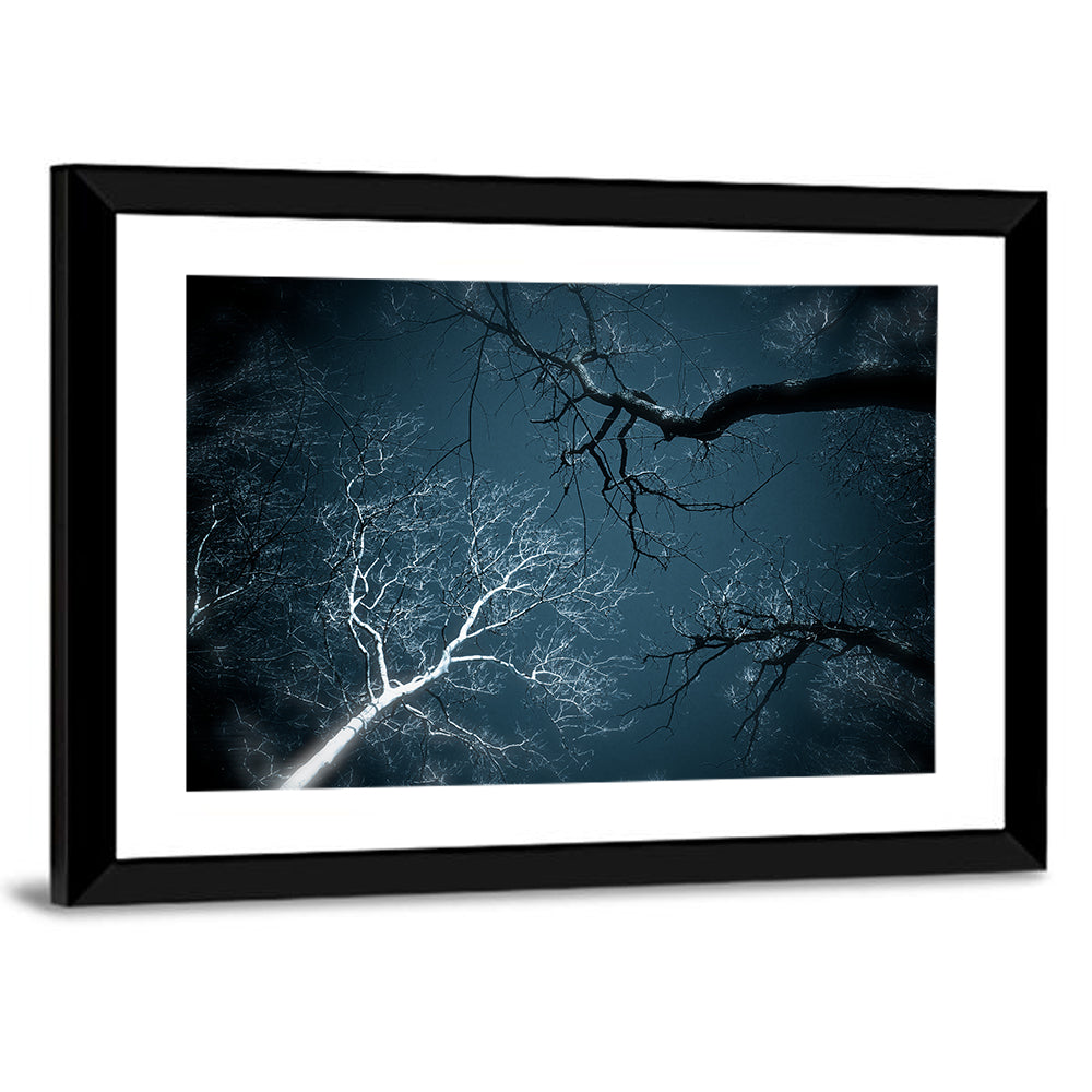 Twilight Canopy with Glowing Bark Wall Art
