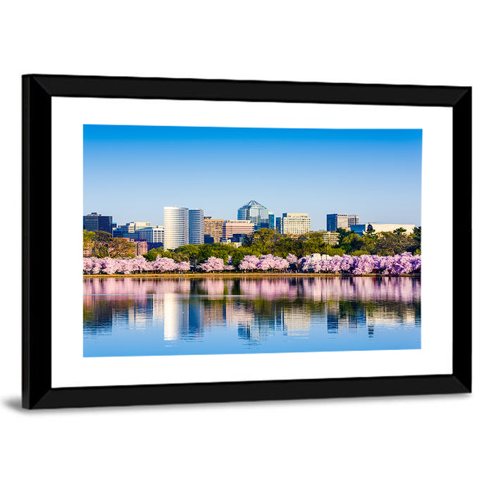 Tidal Basin Washington D.c. Cherry Blossoms Wall Art as a framed print