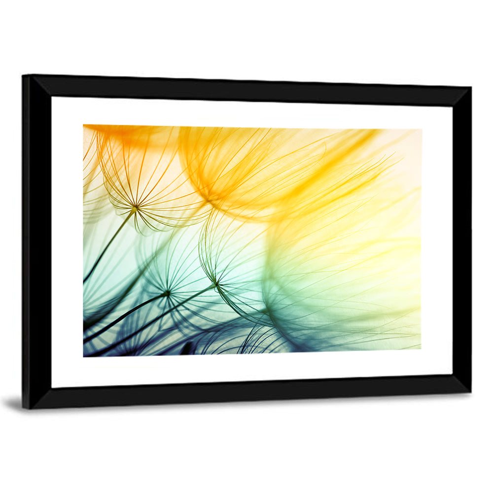 Sunlit Dandelion Seed Macro Wall Art