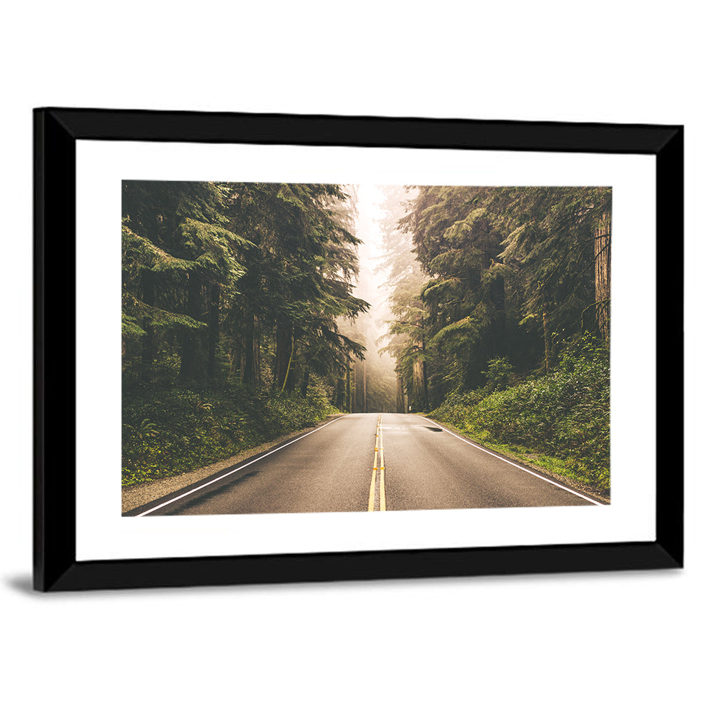 Redwood Highway In Northern California Wall Art