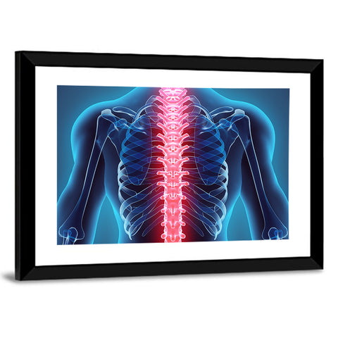 Human Spine Anatomy Illustration Wall Art