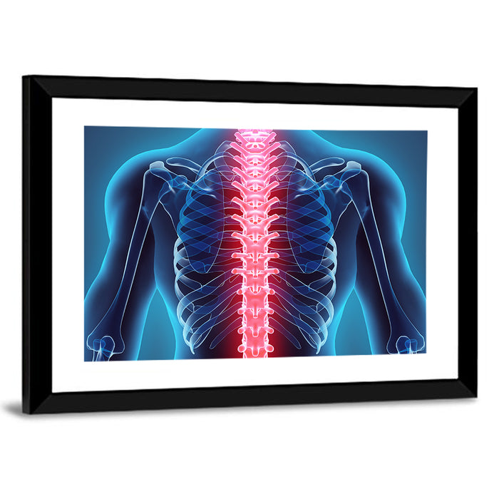 Human Spine Anatomy Illustration Wall Art as a framed print