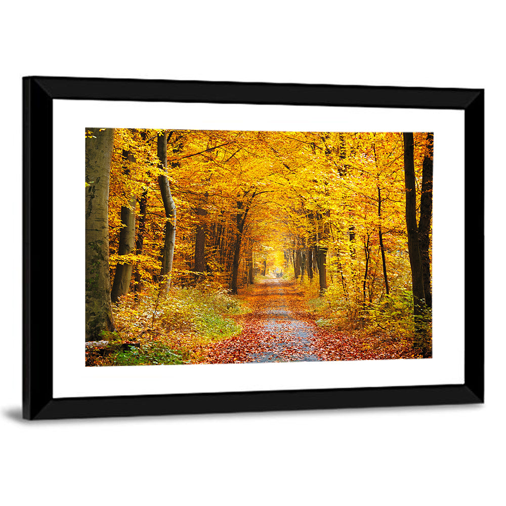 Autumn Forest Path Wall Art