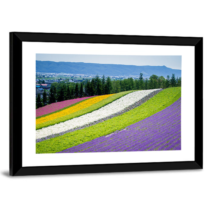 Farm Tomita Lavender Fields Wall Art as a framed print