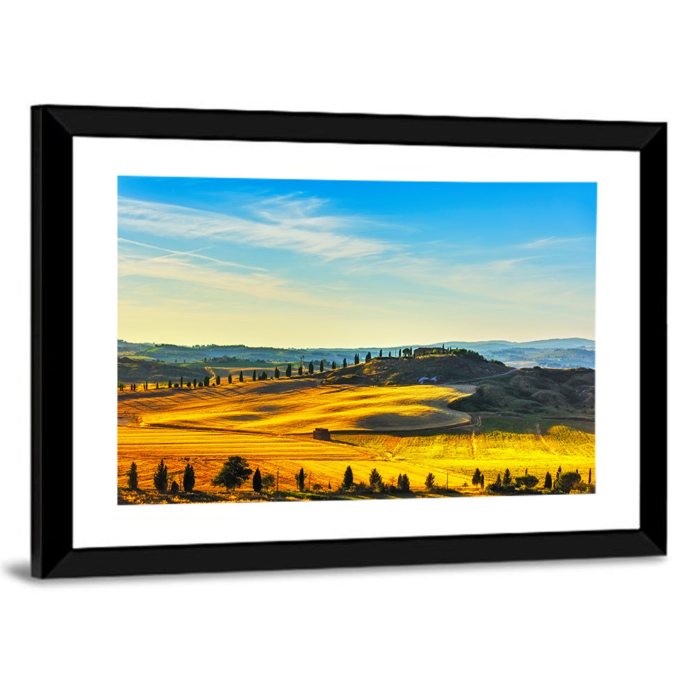 Cypress Trees Over Golden Fields Wall Art