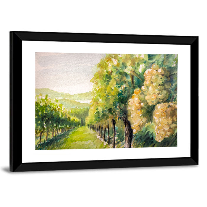 Sunlit Vineyard Watercolor Wall Art as a framed print