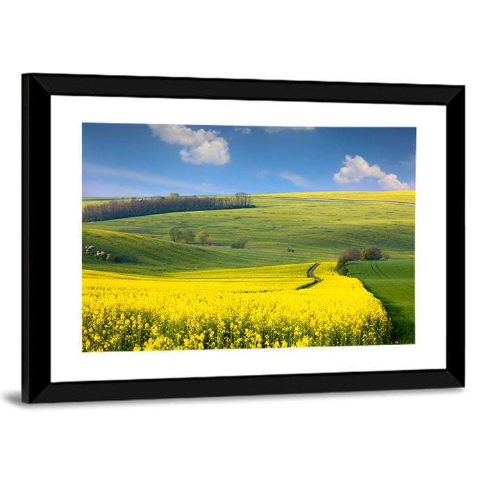 Sunlit Rapeseed Hills Wall Art as a framed print